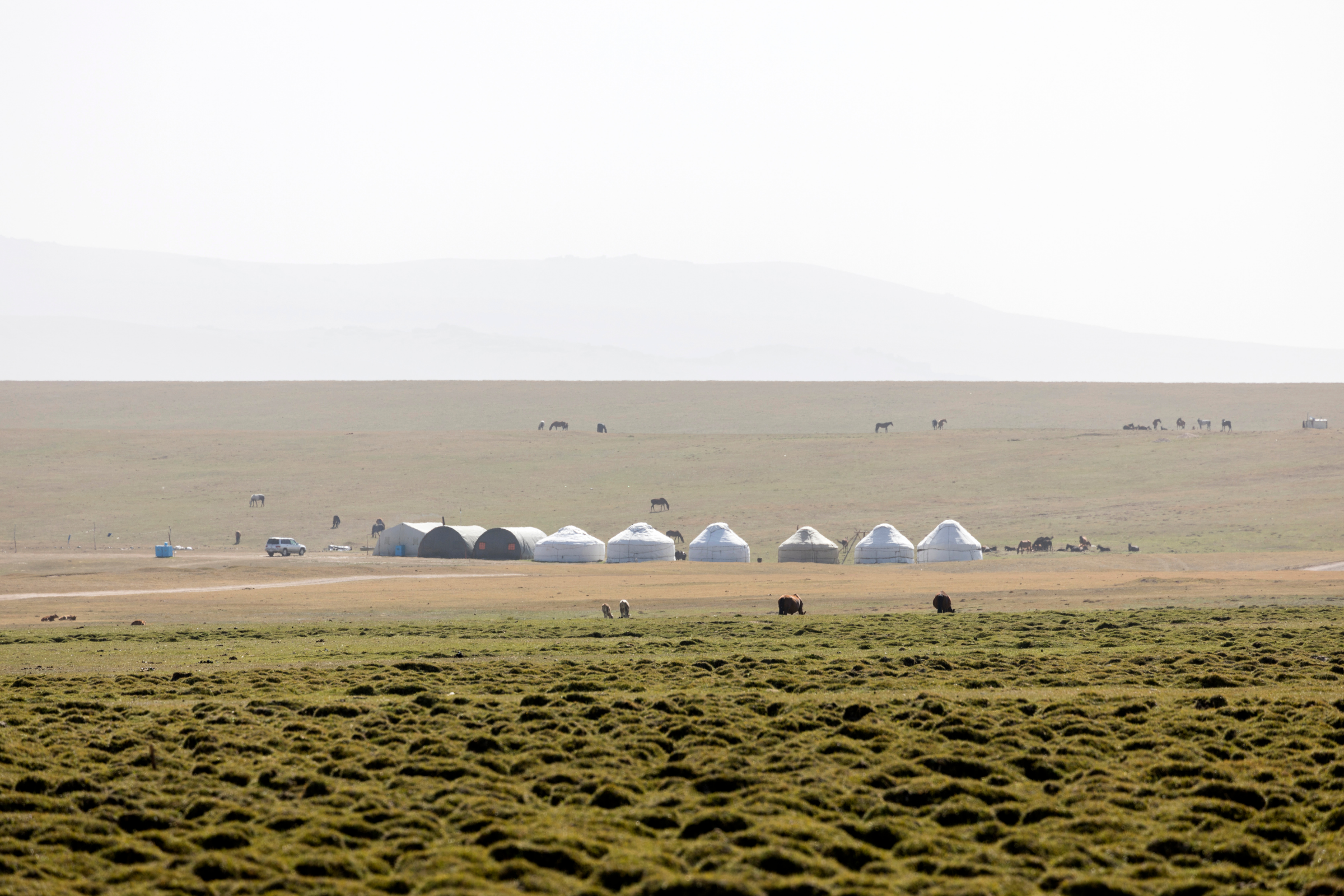 song-kul (4).webp